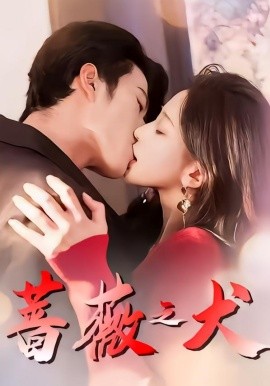 我的阿勒泰